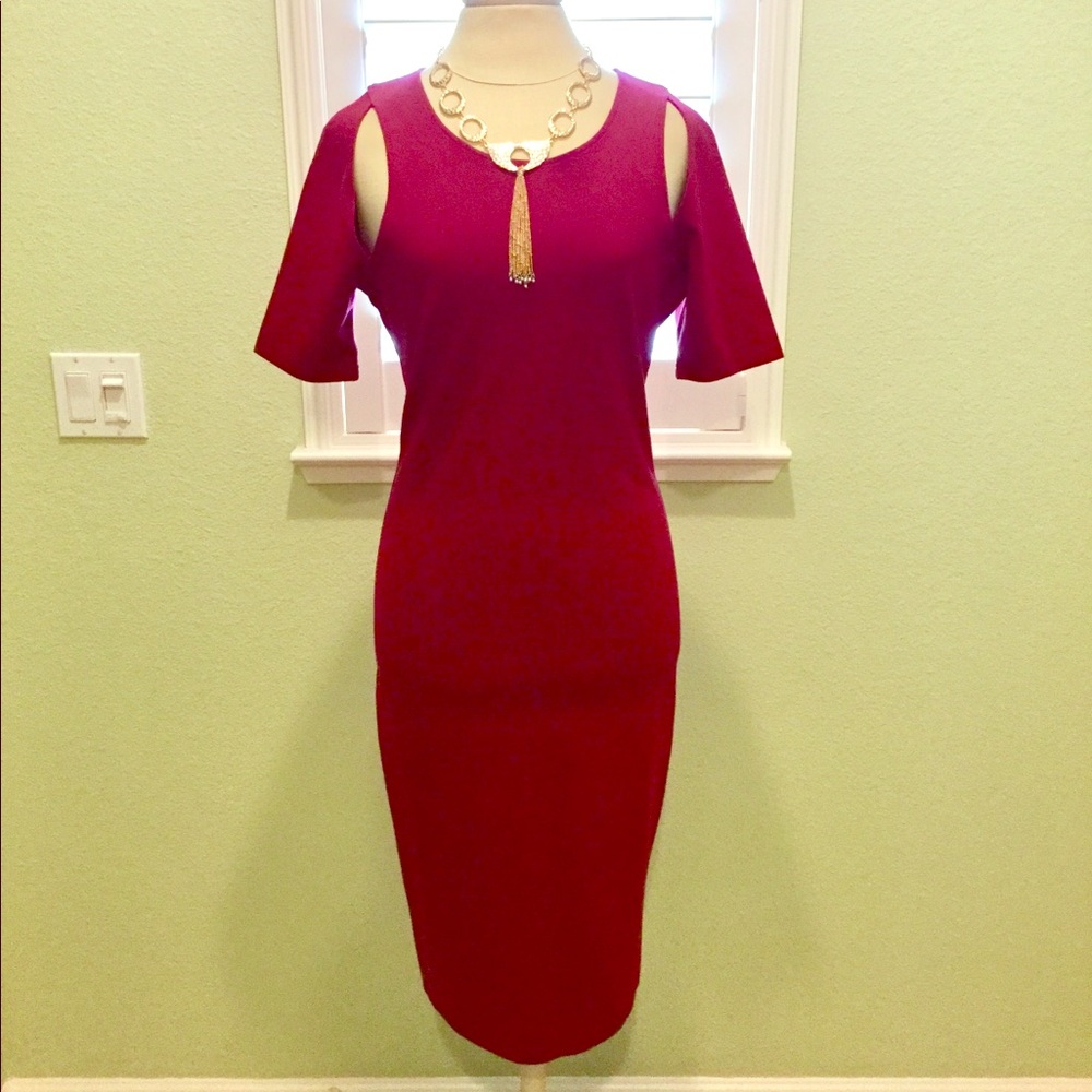 COPY - Gorgeous Fabletics Wine Colored Sheath Dress